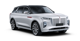 Hongqi E-HS9 Белый с черной крышей/Glacier White+Polar Night Black